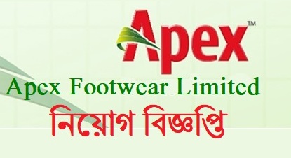 apex shoe company
